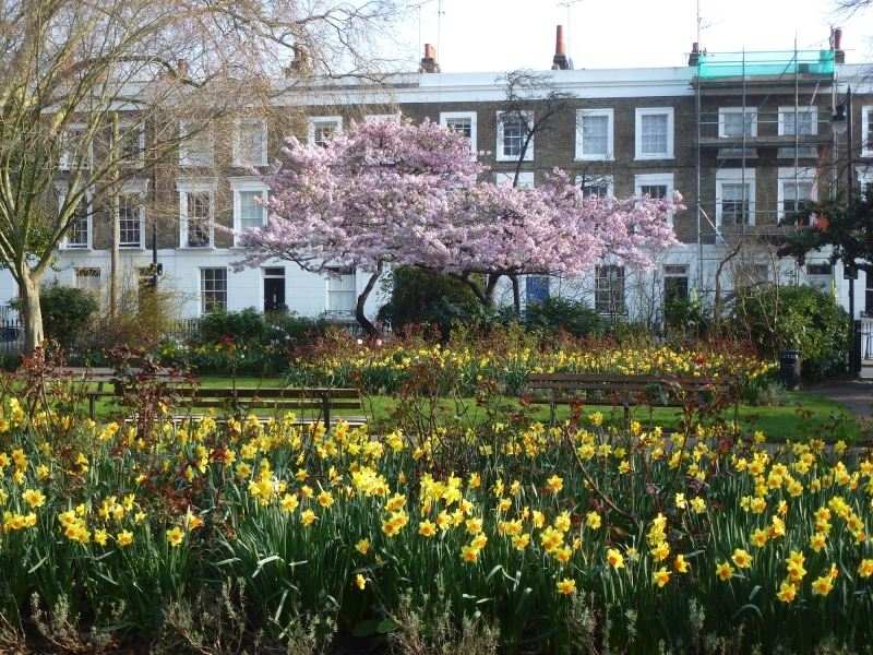 Arlington Square Gardens